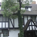 浅谈新农村自建房的坡屋顶设计